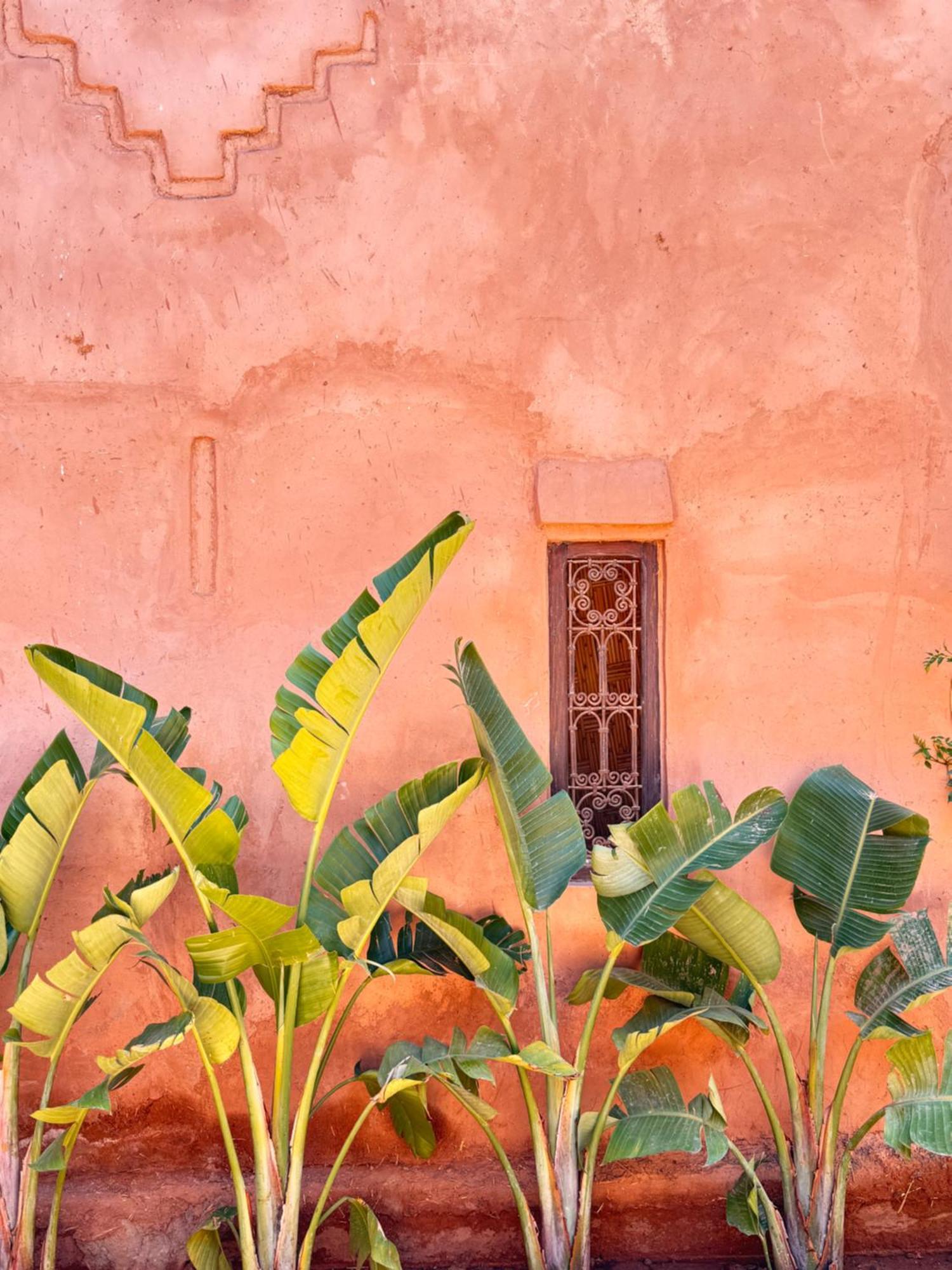 Casa Abracadabra Hotel Marrakesh Exterior foto